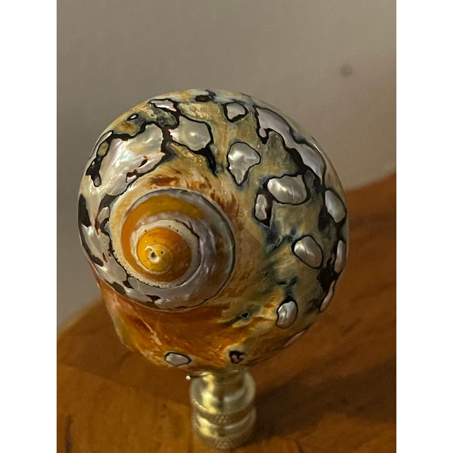 Shabby Chic 1970s Brown Turno Shells Lamp Finials - a Pair For Sale - Image 3 of 4