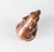Mid 20th Century 20th Century Japanese Carved Boxwood Netsuke of Rat on Double Gourd, Signed For Sale - Image 5 of 7
