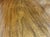 Victorian Style Oval Mahogany Table with One Extension For Sale - Image 14 of 18