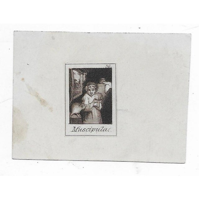 Antique miniature engraving of of Muscioula, her cat and a mouse in a cage after a painting by Sir Joshua Reynolds. Sheet...