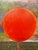 1990s Made Wianta Sunset Original Oil Painting, Signed For Sale - Image 5 of 12