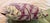 Tropical Palm Leaf Feather-Down Pillow in Berry, Lilac & Sage 18” X 18” For Sale - Image 4 of 8