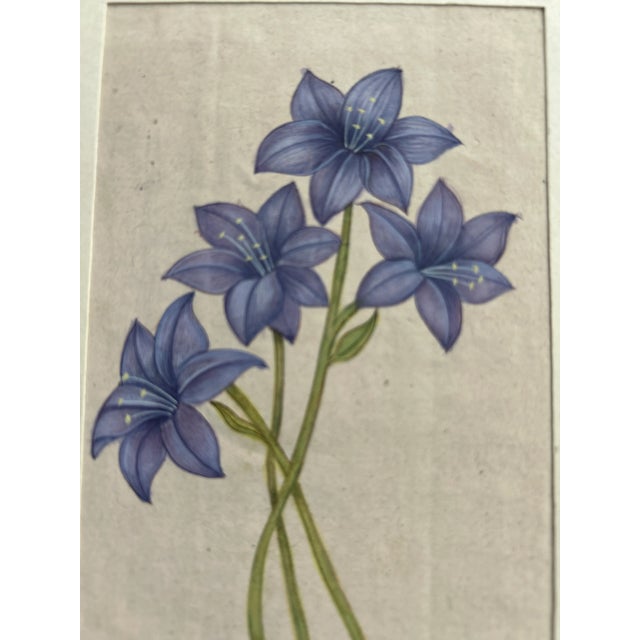 1960s Vintage Indian Mugal Violet Art Flower Painting For Sale - Image 5 of 9
