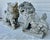 Rare Late 19th Century Meiji Era Japanese Granite Komainu Guardian Lions Hand Carved Stone Foo Dogs / Shishi Pair (C. 1890) For Sale - Image 4 of 18