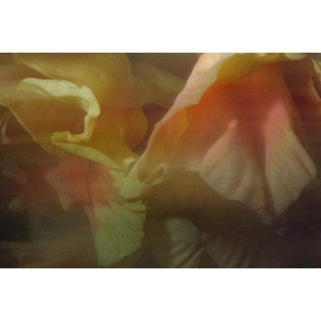 This large 40" x 30" abstract photographic print is by designer/artist/photographer Joseph Fountain, created in 2015. From...