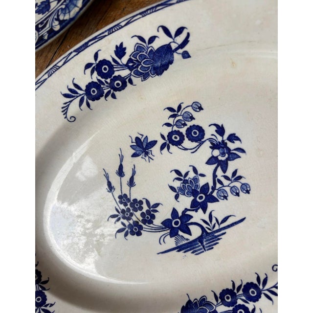 Large Antique Plates, Late 19th-Early 20th Century, Set of 5 For Sale - Image 12 of 18