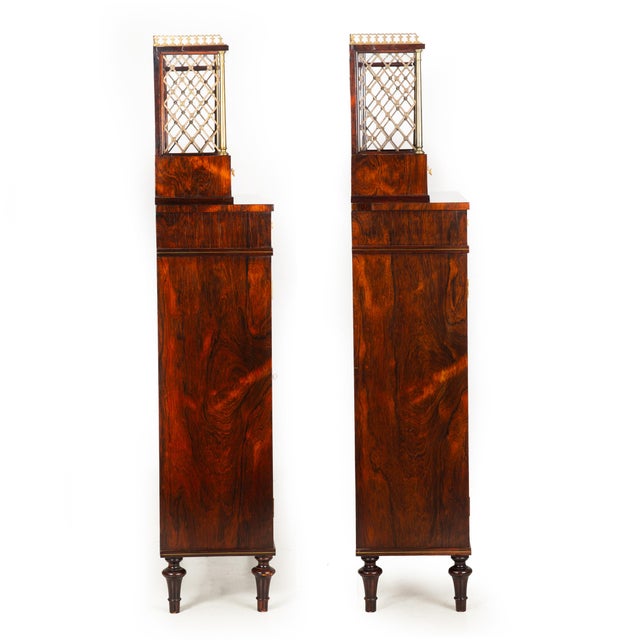 Pair of English Regency Rosewood Bookcase Cabinets Att. John McLean C. 1820 For Sale - Image 4 of 18