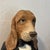 English Vintage Basset Hound Butler Statue For Sale - Image 3 of 11