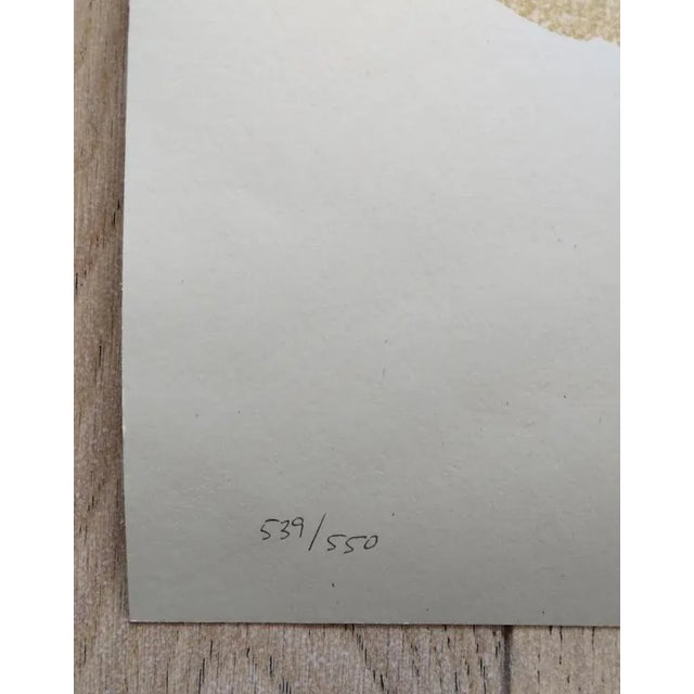 Shepard Fairey (Obey), A Cracked Icon, Screenprint For Sale - Image 5 of 8