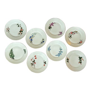 Limoges Porcelain Dinner Plates From 1880 - Set of 8 For Sale