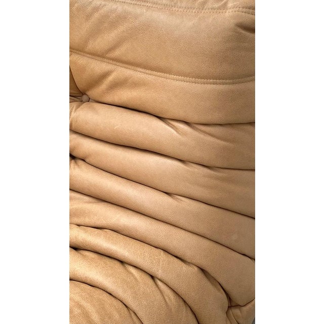 French 3-Seater Togo Sofa in Camel Leather attributed to Michel Ducaroy for Ligne Roset For Sale - Image 10 of 12