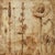2020s Set of 6 - 54" X 36" Gallery Wall Installation 'Monochrome Sepia Flowers' Herbarium Botanical Floral Prints, Unframed For Sale - Image 5 of 8