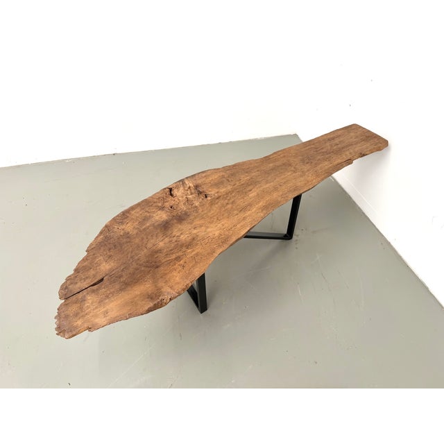 Organic Coffee Table in Poplar, 1990s For Sale - Image 14 of 18