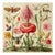 French Country Insects and Flowers – Natural History Fine Art Print For Sale - Image 3 of 4