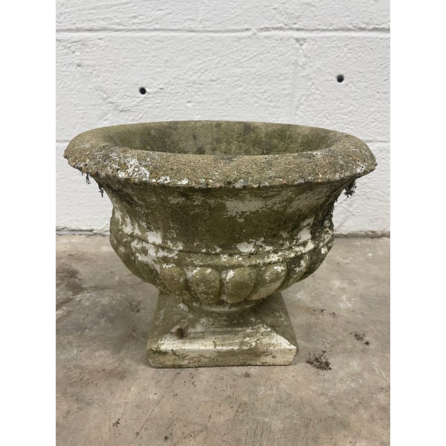 Stone Vintage Asheville Estate Cast Stone Basket Weave Planters For Sale - Image 7 of 7