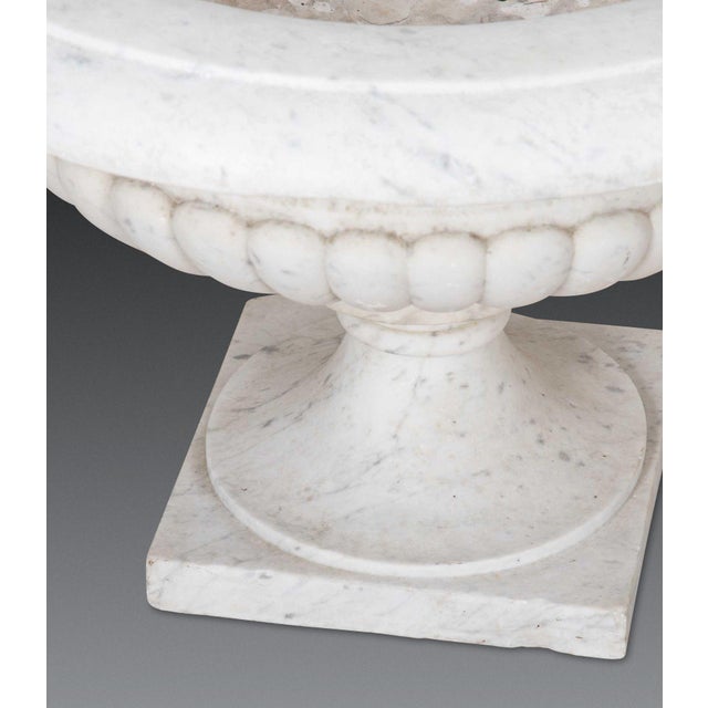 19th Century Italian Marble Tazza Urns, Set of 2 For Sale - Image 15 of 18