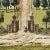 Schumacher X Johnson Hartig Mr. Darcy's 3 Panel Set In Pemberly Green For Sale In New York - Image 6 of 6