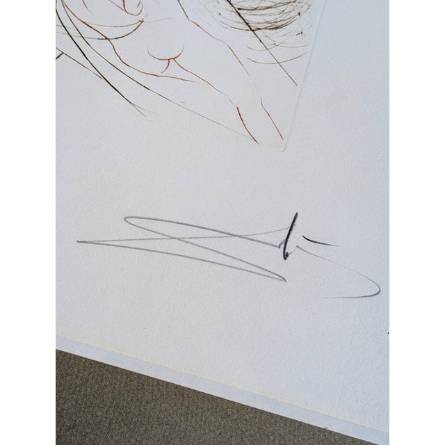 Salvador Dali, Woman and Horse, 1973, Etching For Sale - Image 6 of 10