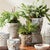 Ceramic Province Flower Pots, Set Of 3 For Sale - Image 7 of 8