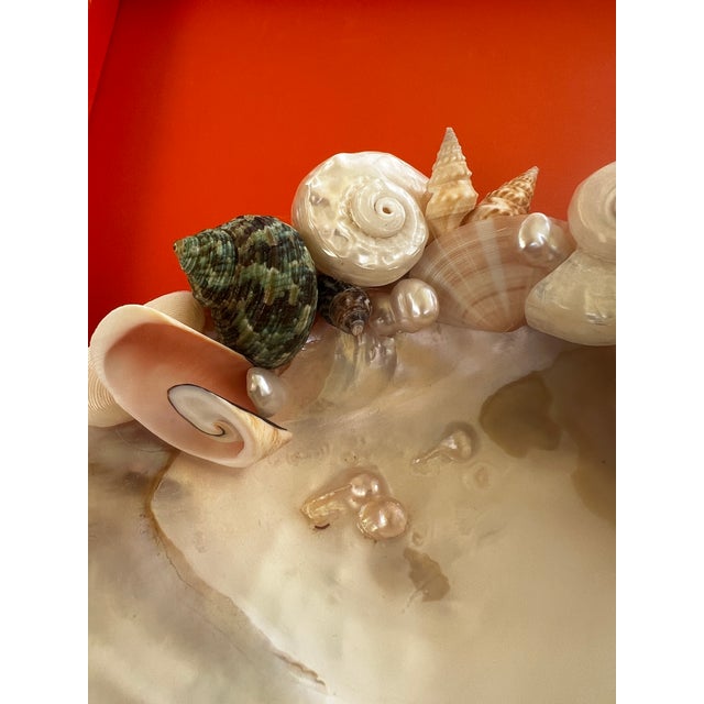 Christa's South Seashells "What-not" dish. A iridescent oyster shell with three embedded pearls in the dish surrounded by...