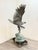 Beautiful life size eagle made out of bronze