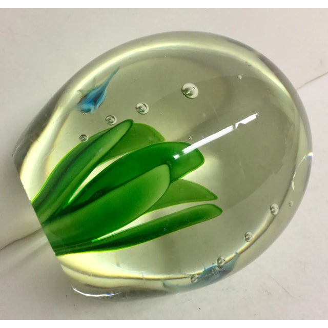Green 1990s Vintage Blue Sunfish Glass Paperweight For Sale - Image 8 of 9