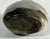 19th C. Chinese Macaroni Shadow Agate Snuff Bottle Chalcedony Translucent For Sale - Image 9 of 9