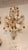 1920s French Orange and Clear Crystal Chandelier For Sale - Image 10 of 12