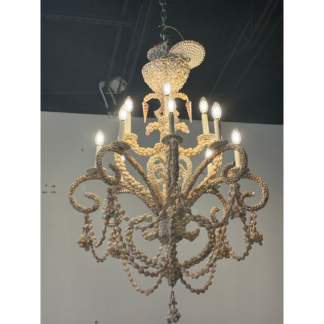 Tan Vintage Coastal Shell Seashell Encrusted Coastal Palm Beach 12 Light Chandelier For Sale - Image 8 of 12