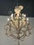 Tan Vintage Coastal Shell Seashell Encrusted Coastal Palm Beach 12 Light Chandelier For Sale - Image 8 of 12