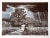 Artist: John Sherrill Houser, American (1935 - ). Title: Storm Clouds. Year: circa 1979. Medium: Lithograph, signed and...