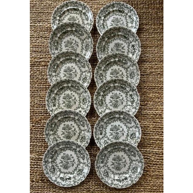 Antique Wedgewood 'Coral Border' Green Transferware 10" Dinner Plates - Set of 12 For Sale - Image 14 of 14