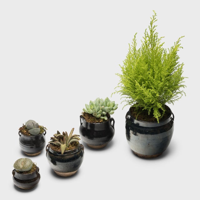 Chinese Chinese Petite Glazed Apothecary Jar, C. 1900 For Sale - Image 3 of 4