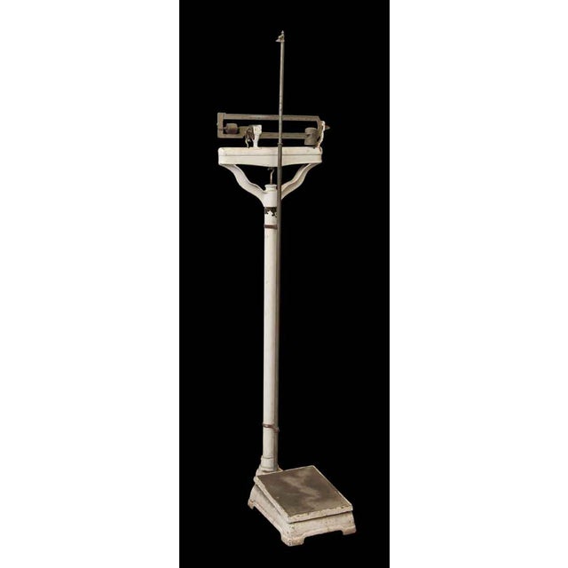 Turn of the Century Doctors Scale Chairish