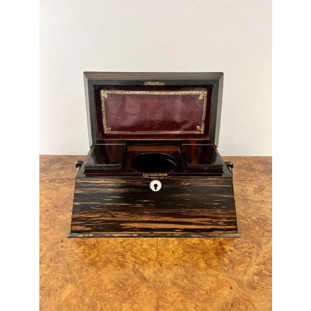 Regency Coromandel Wood Tea Caddy, 1830s For Sale - Image 9 of 10