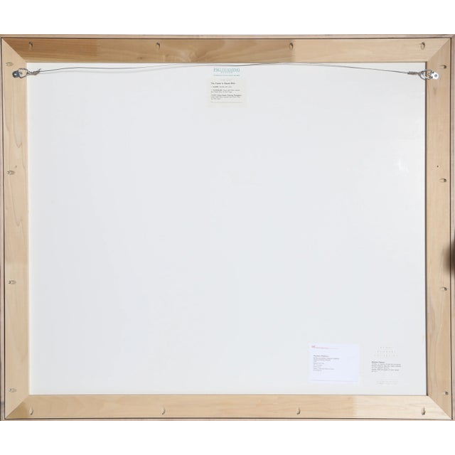 Matthew Pillsbury, Hordes, La Galerie d'Anatomie Comparée, Musée d'Histoire Naturelle, Pigment Ink Print For Sale - Image 4 of 7