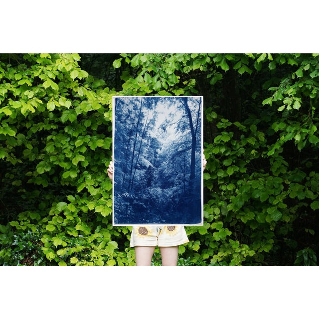 "Soft Light in the Woods" Contemporary Landscape Handmade Cyanotype Print on Watercolor Paper For Sale In Miami - Image 6 of 8