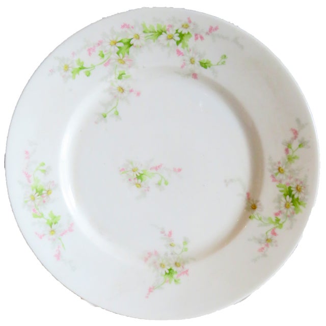 Lovely 9-piece collection of French Limoges porcelain plates; white with white daisies and pink blossoms amid bright green...