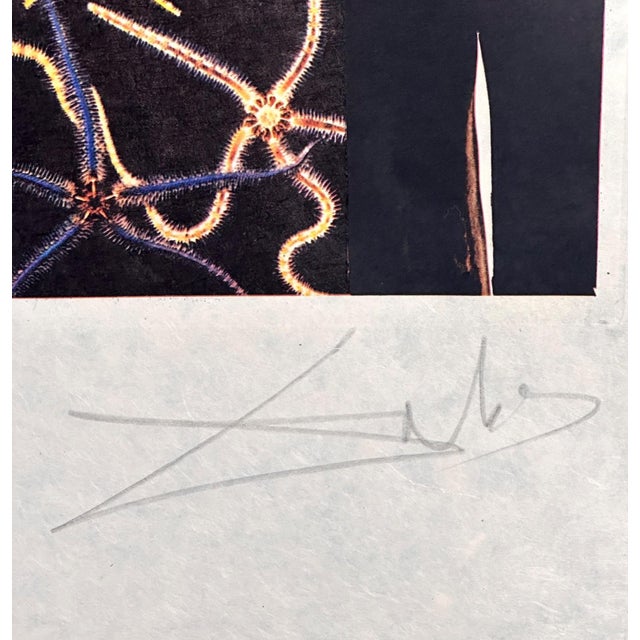 Surrealism 1970s Dali Memories of Surrealism Surrealist Surrealist King Hand Sign Number Etching For Sale - Image 3 of 6