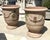 Pair of 31 Inch French Anduze Planters With Antique Patine, Fleur De Lys For Sale - Image 12 of 12