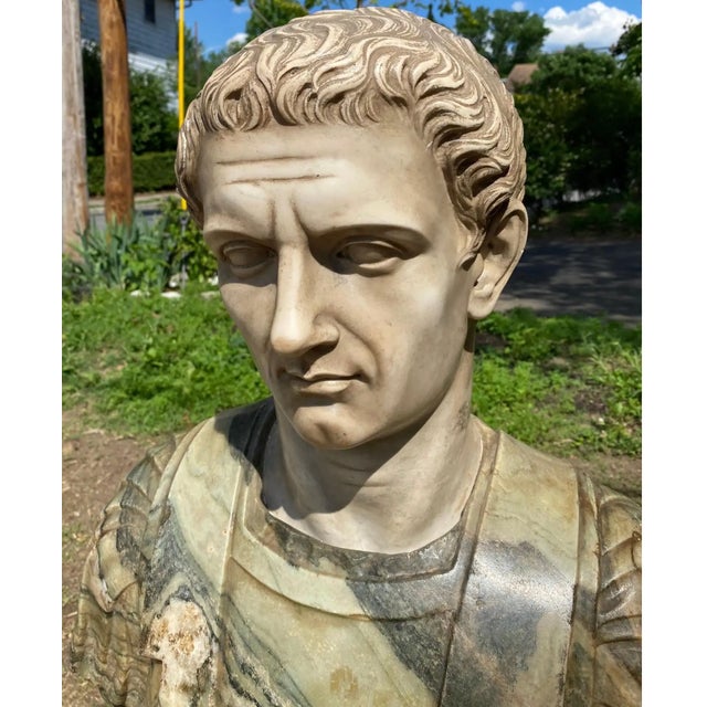 Stone 19th Century Italian Neoclassical Style Specimen Marble Busts of Caesars - Set of 2 For Sale - Image 7 of 10