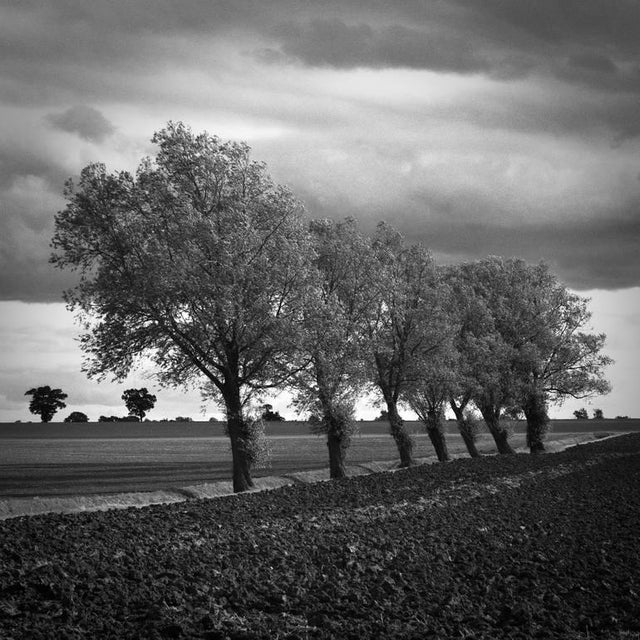 Paul Cooklin, Walsham Le Willows, Photograph For Sale