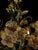 Murano Glass Flowers Chandelier, 1990 For Sale - Image 13 of 15
