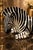Make a bold statement with this vintage Tilso Japan reclining zebra sculpture, a striking example of Mid-Century...