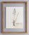 Custom Framed Antique Finnish Herbarium Botanical Specimens (Floating Photo Picture Frame) For Sale In Houston - Image 6 of 9