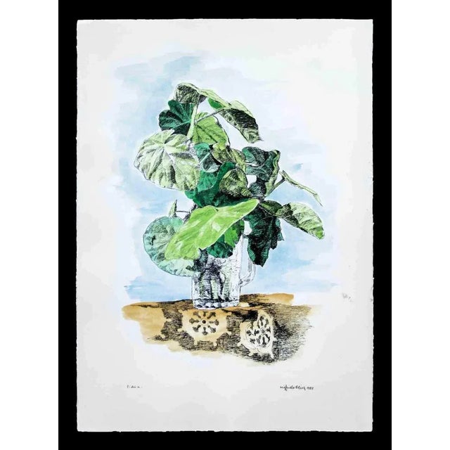 Lithograph on Magnani-Pescia paper. Paper size 50cm x 70cm, work size 43cm x 57cm. Excellent condition, no defects. Hand...
