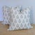 GP & J Baker Poppy Sprig pillows in aqua (aqua toned blue and green on cream background), with fun Brunschwig & Fils Les...