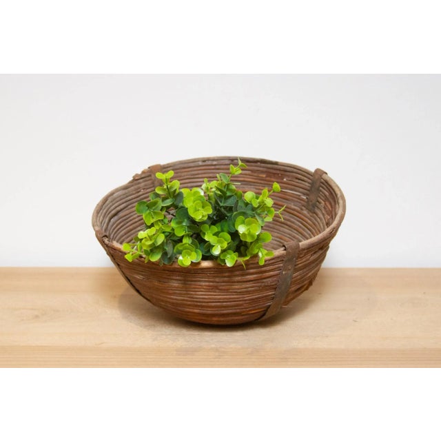 Wood Vintage Farmhouse Wicker Basket-Siliguri For Sale - Image 7 of 7