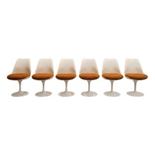Vintage Tulip Chairs by Eero Saarinen for Knoll International, 1980s, Set of 6 For Sale