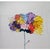 Organic Modern Original Flower Painting by Diane Grant Oil and pencil on high quality 'Hahnemuhle' fine art paper....